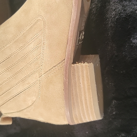 Gianni Bini - Picture 2 of 6